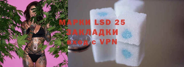 индика Арсеньев
